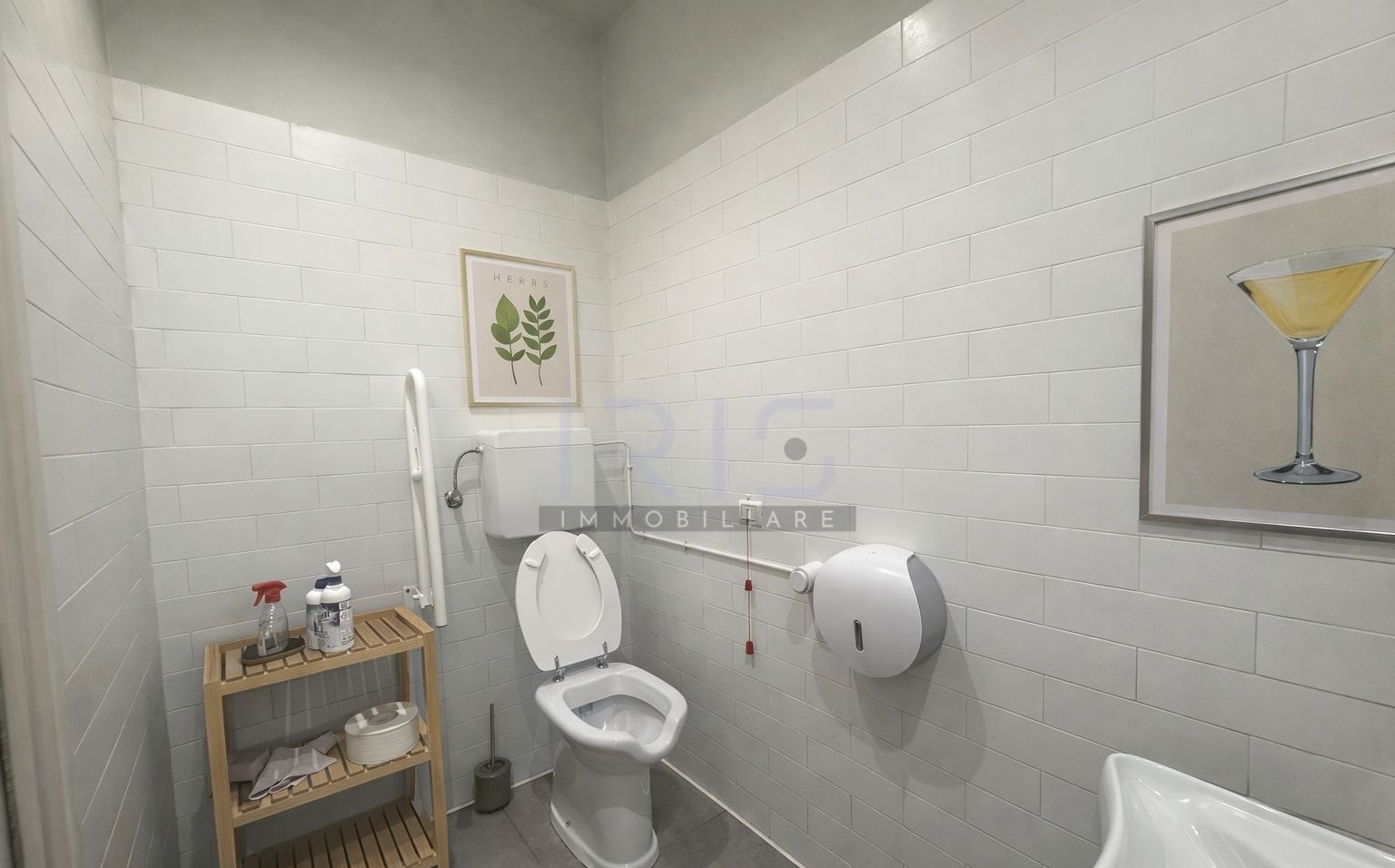 WhatsApp Image 2026-03-25 at 16.50.13