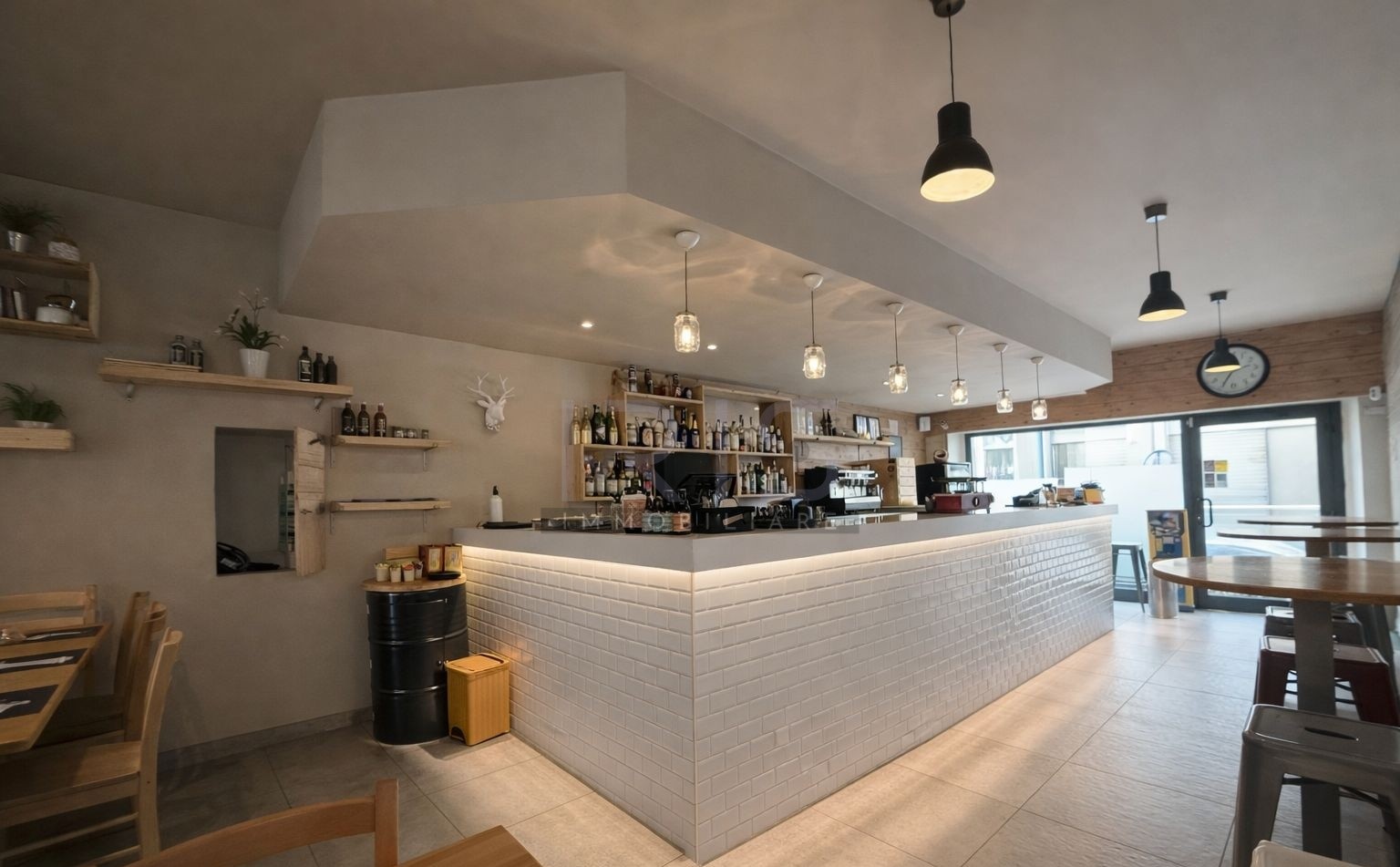 WhatsApp Image 2026-03-25 at 16.50.14 (1)